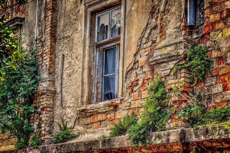 5 Things You Need To Know About Tenant Injuries